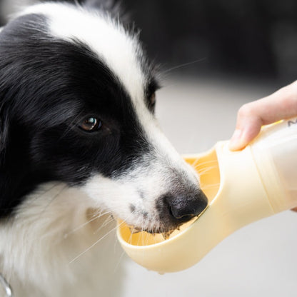 Portable Water Bottle - Bone shape