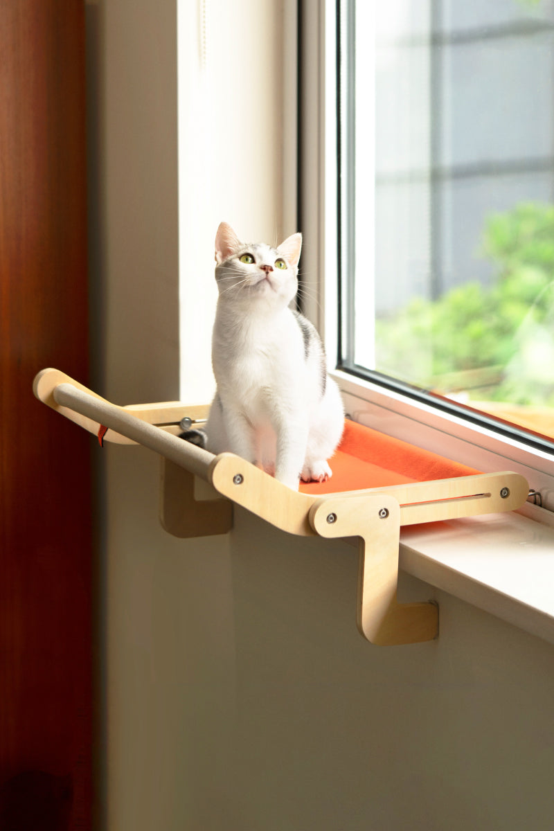 Window Perch - Cat