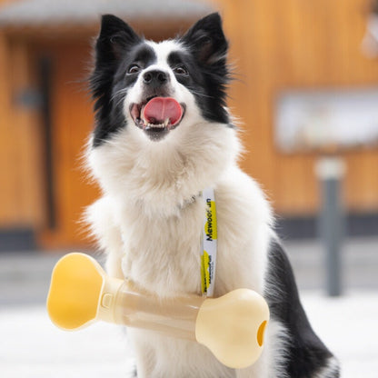 Portable Water Bottle - Bone shape